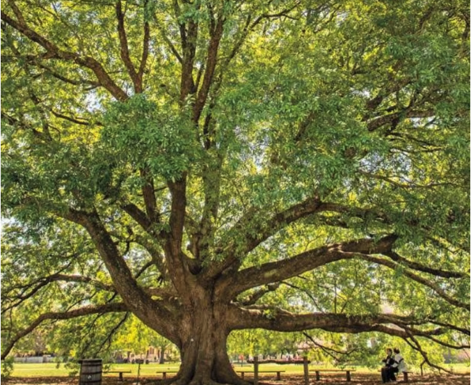 Juneteenth Sunrise Service